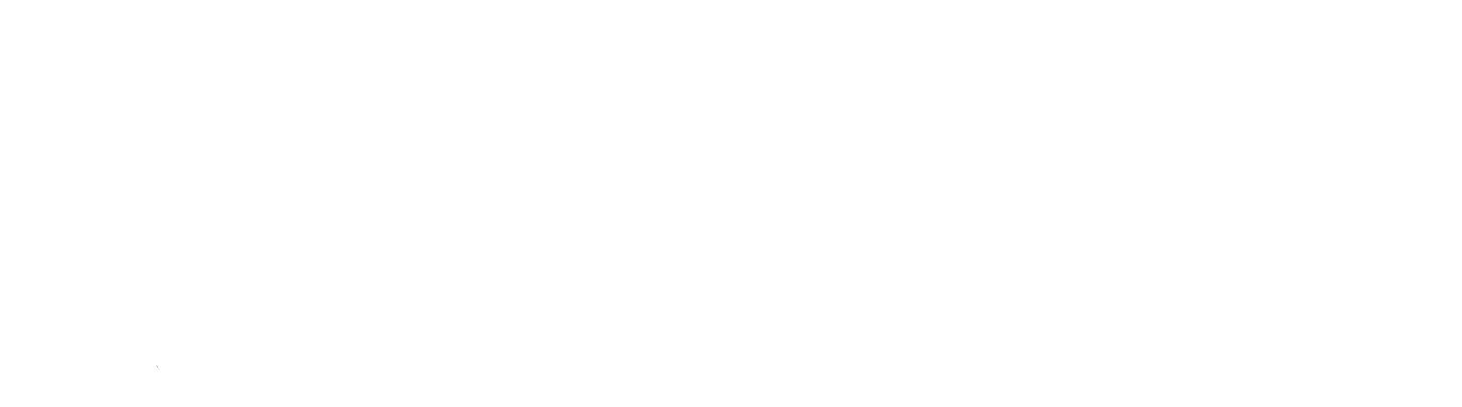 CHSI%20Logo%20Horizontal%20v4%20(576C0F)%20with%20INC%20(WHITE)(1).png